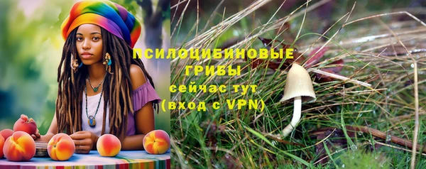 стафф Баксан